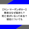 ヤン・マーデンボローの事故はなぜ起きた？死亡者がいるって本当？現在についても